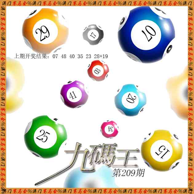 九码王