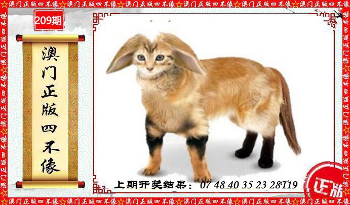澳门另版四不像