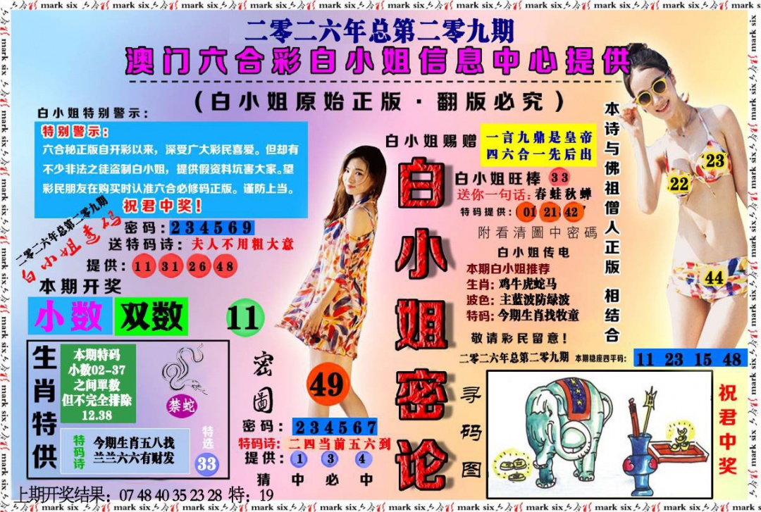 白小姐密论