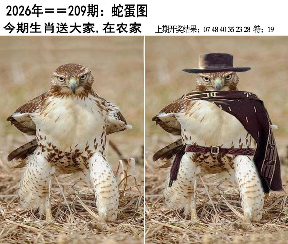 另版蛇蛋图