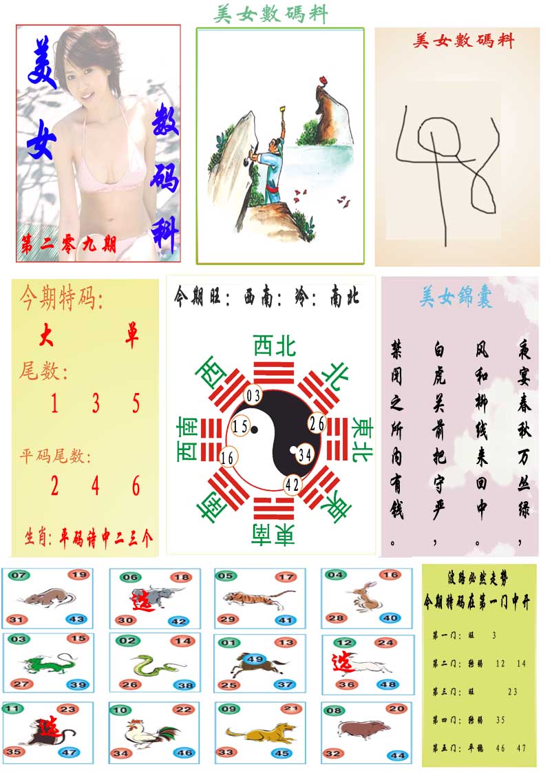 美女数码料