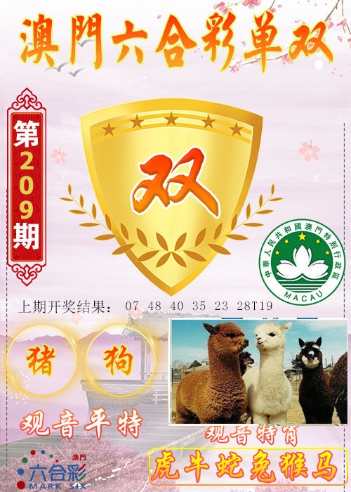 六合单双图