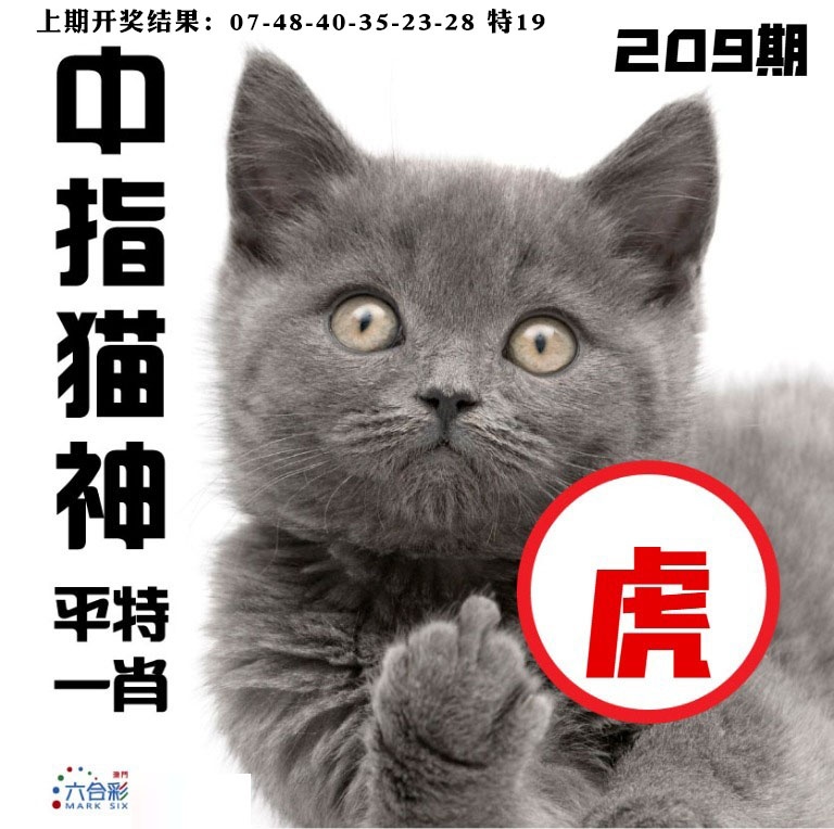 中指猫神