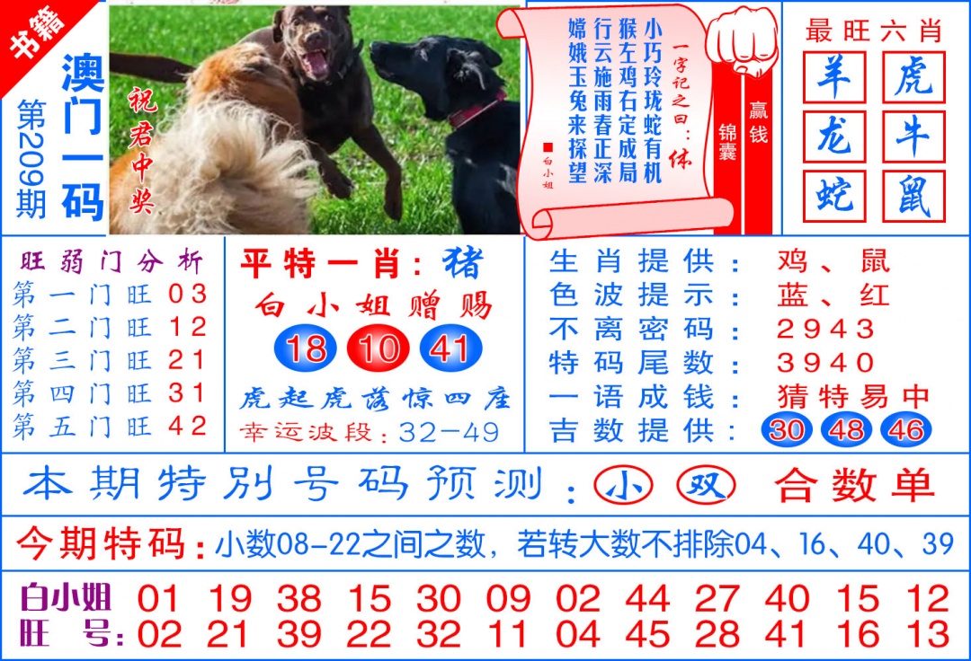 澳门飞龙宝典