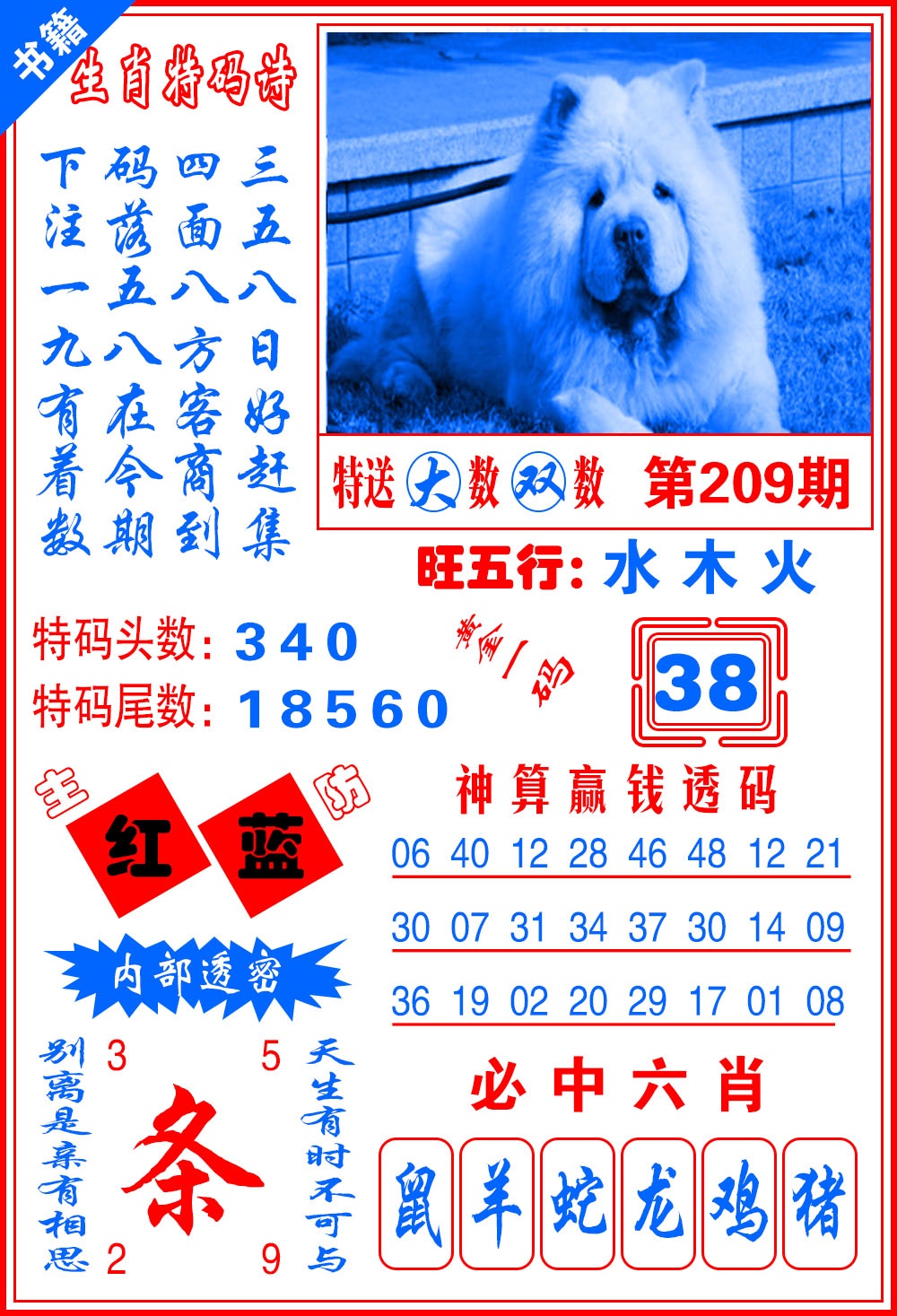 澳门一肖黄金