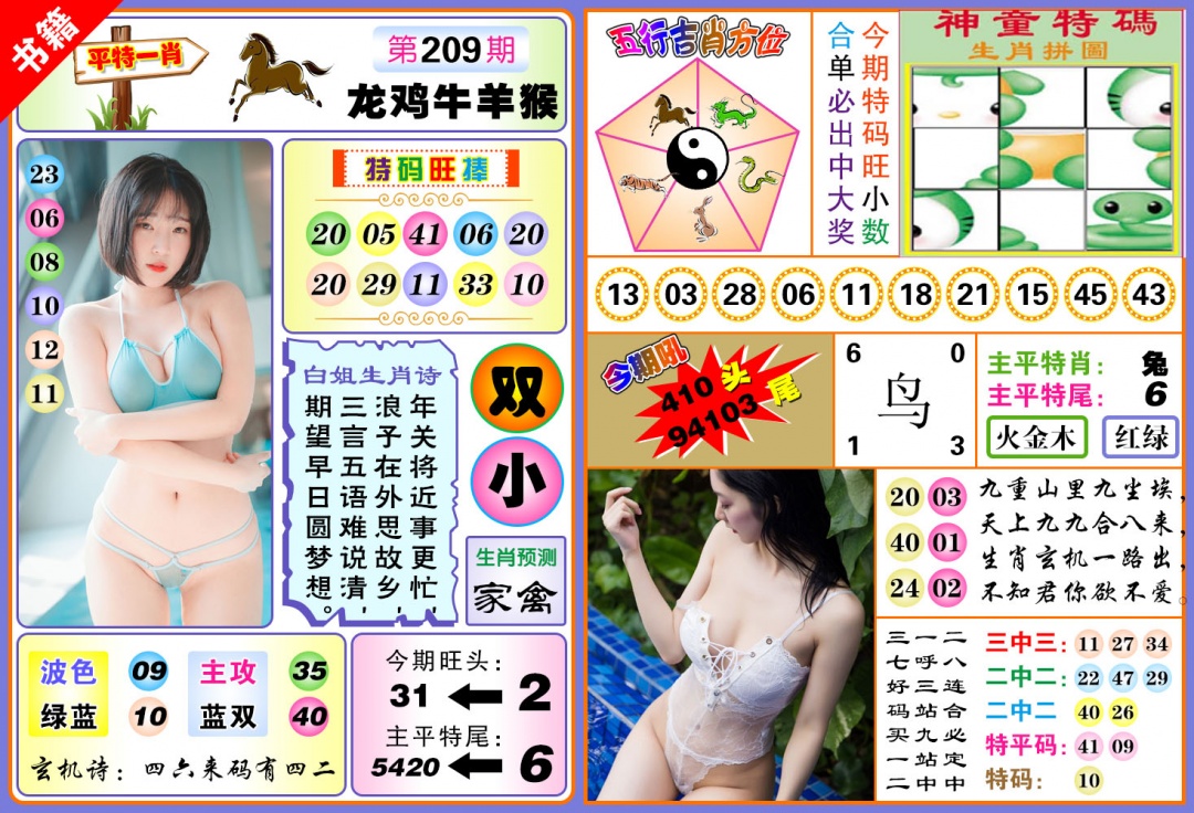 澳门五行白姐