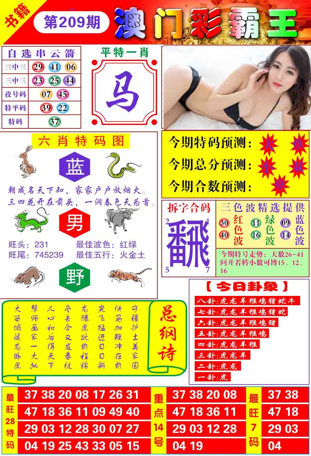 澳门彩霸王