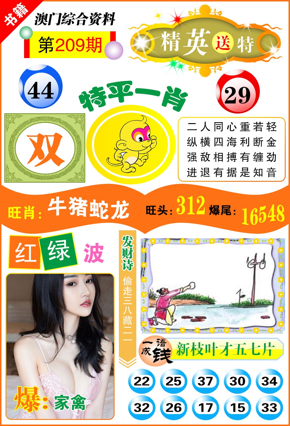 澳门综合资料